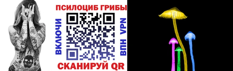 Галлюциногенные грибы прущие грибы  Александровское 