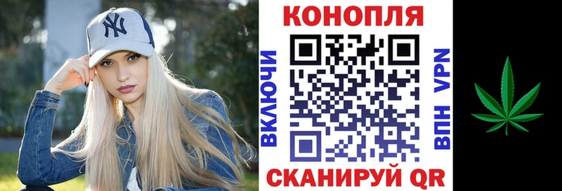 Канабис THC 21%  наркошоп  Александровское 